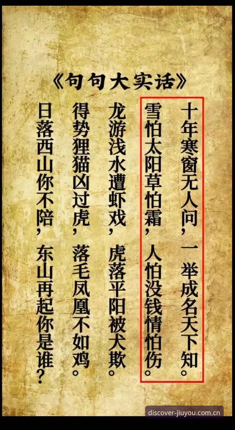 九游平台解析：一个篮板手为何值得你关注他的东山再起